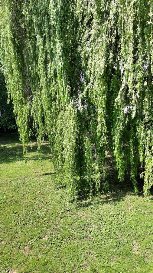 Le Pas Sage Bed & Breakfast La Caillere-Saint-Hilaire Ngoại thất bức ảnh